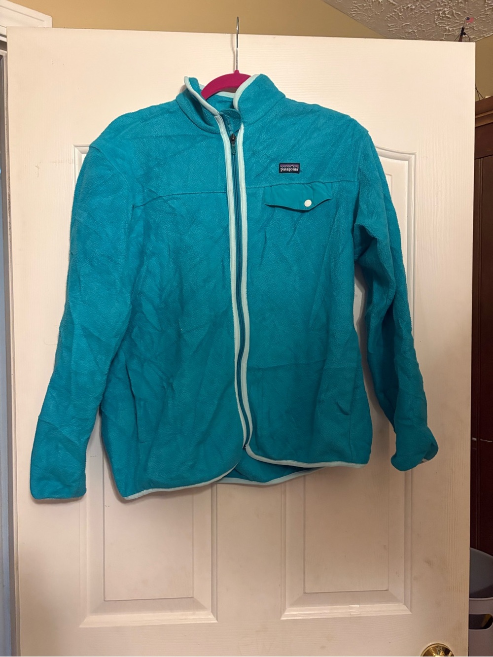 Patagonia Girls Teal Fleece Jacket